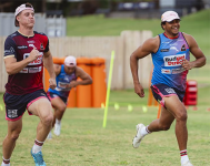 Dolphin's Selwyn Cobbo